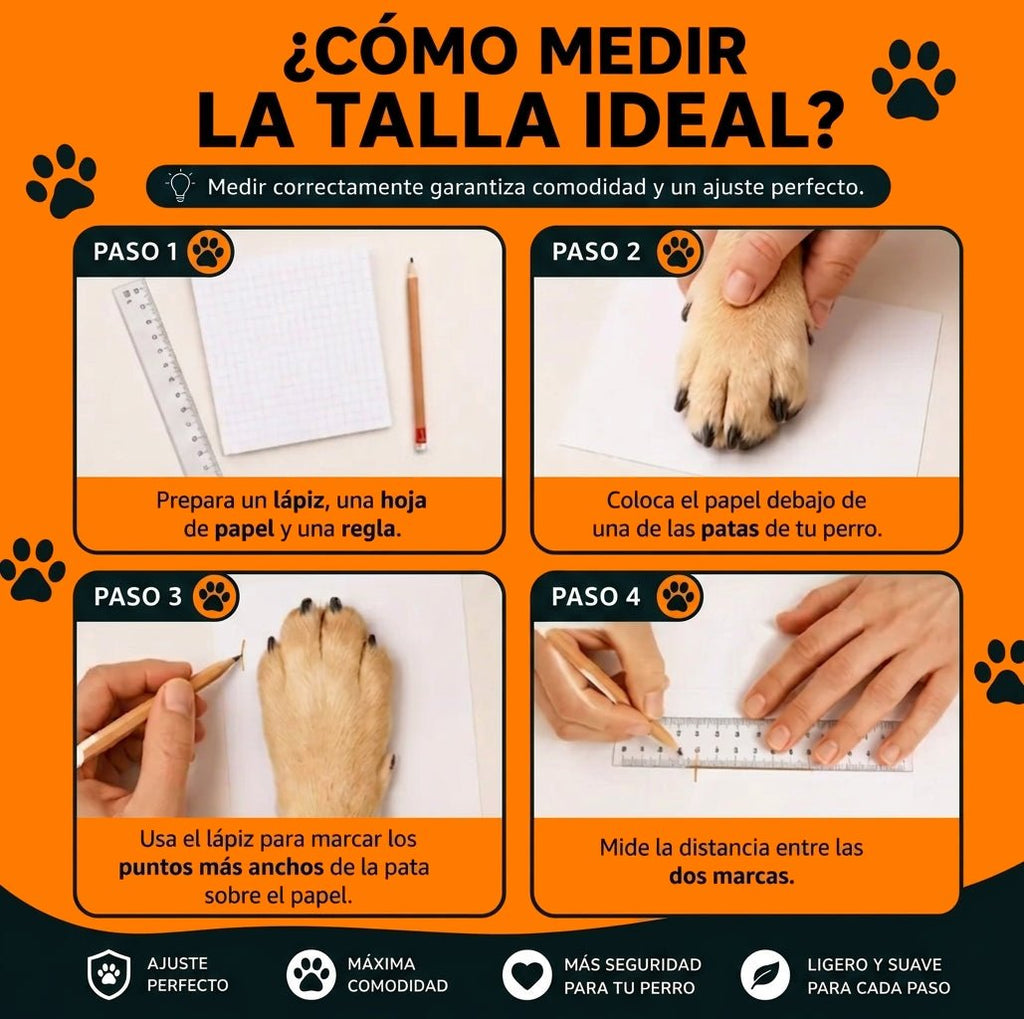 Pasos para medir la pata del perro y elegir la talla de las medias