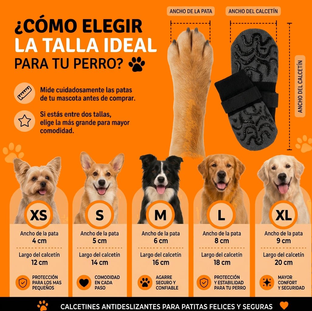 Guía de tallas de las medias antideslizantes para perro